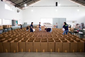 Manu Buffara Institute