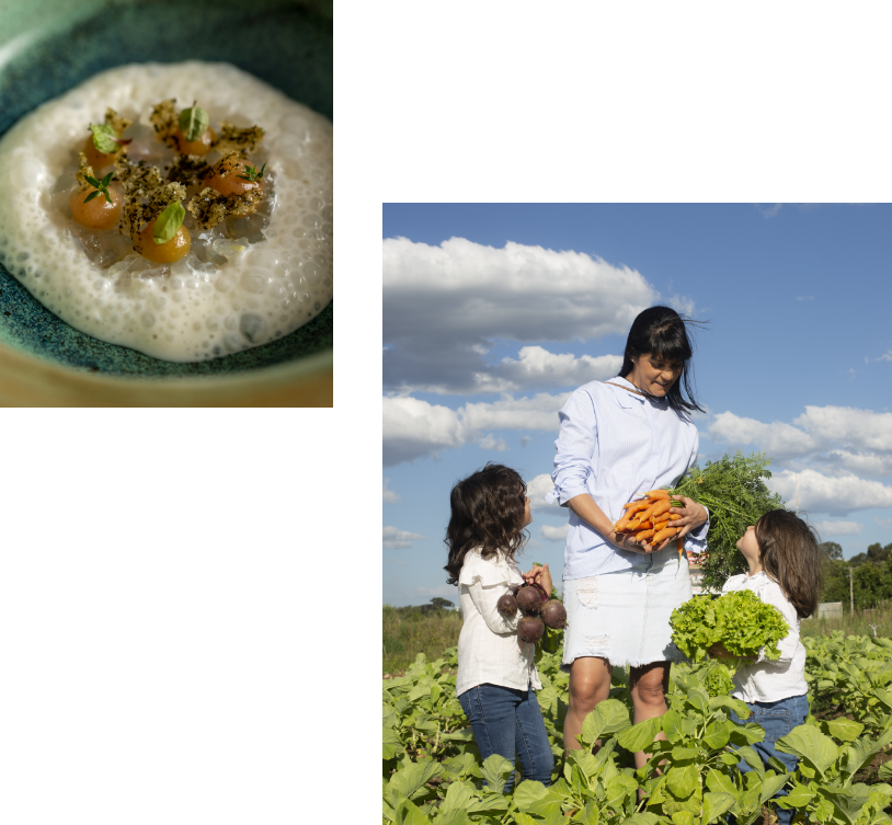 Orgulho de suas raizes 2