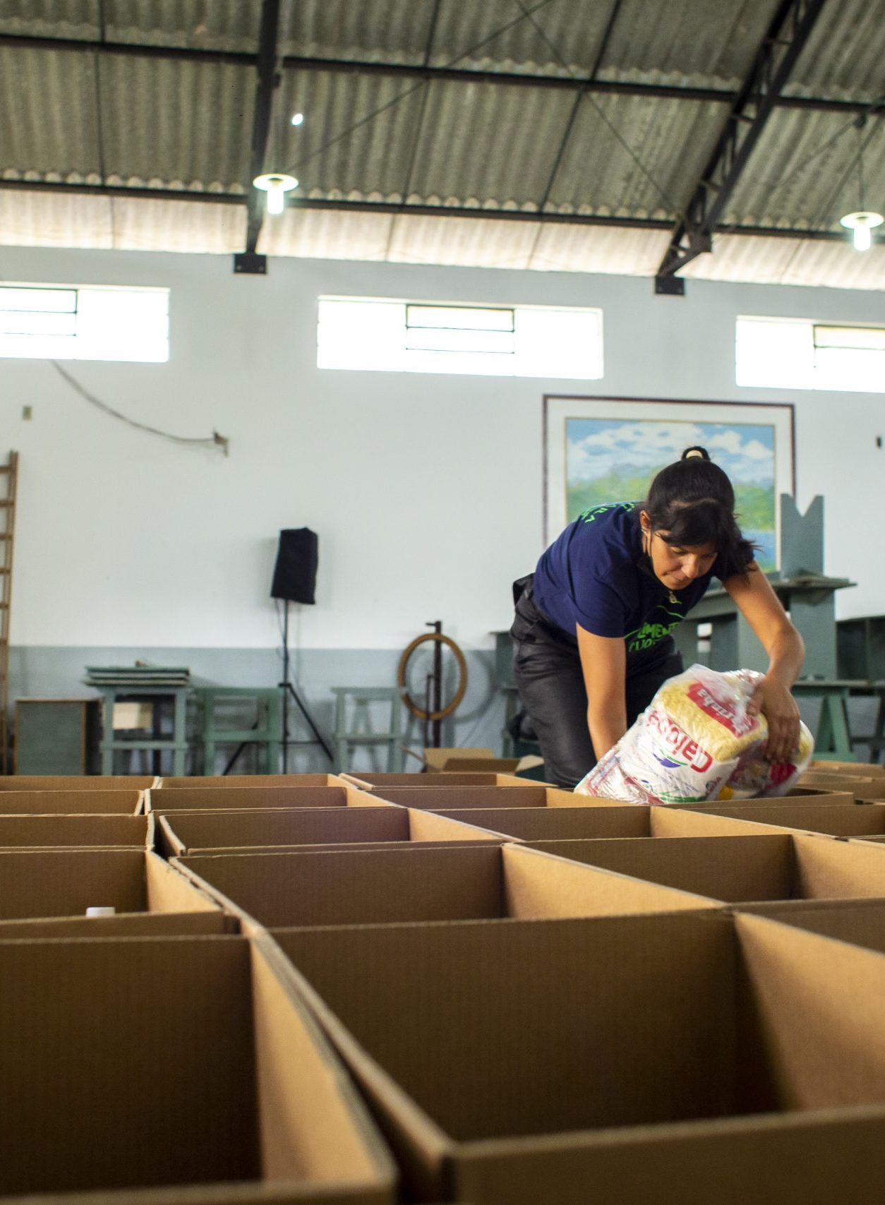 instituto manu buffara